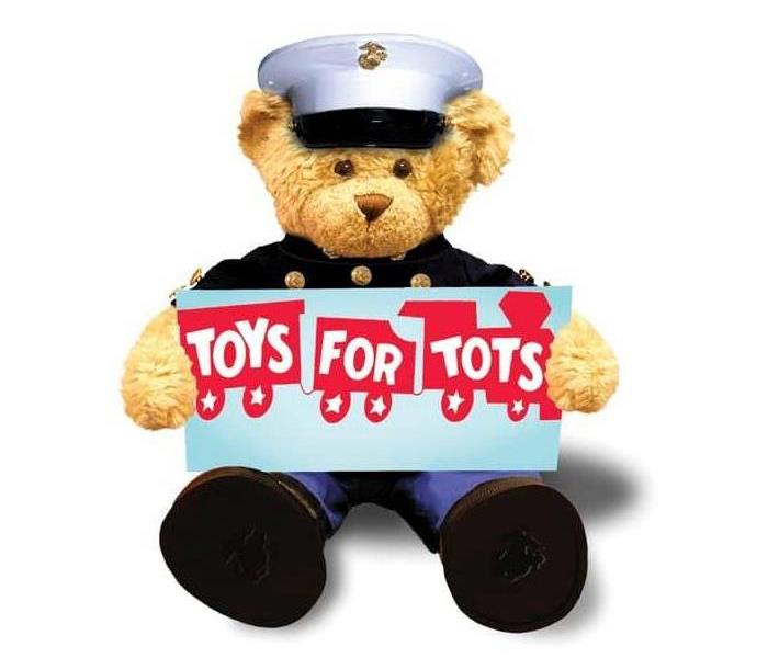 Toys for Tots Bear 