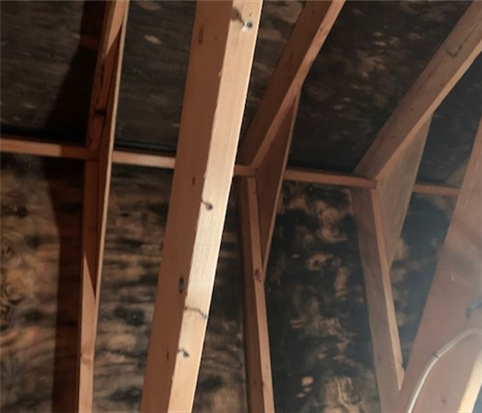 Mold on Wooden Beams in attic 