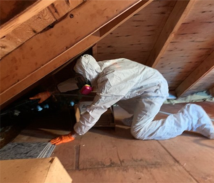 SERVPRO technician in white PPE mitigating mold damage 