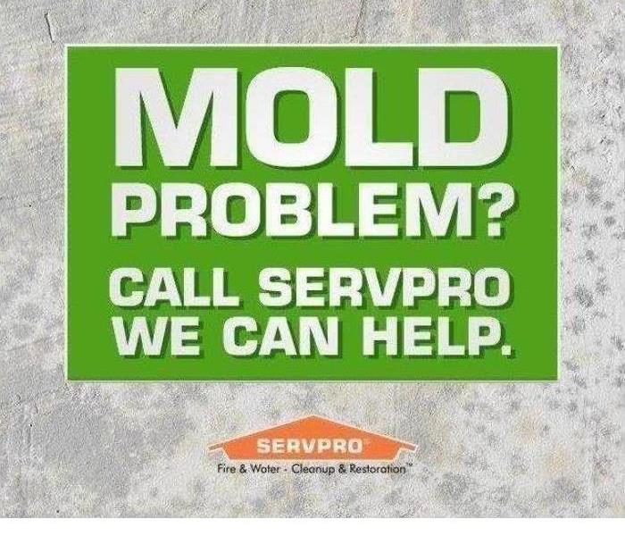 Mold Problem? 